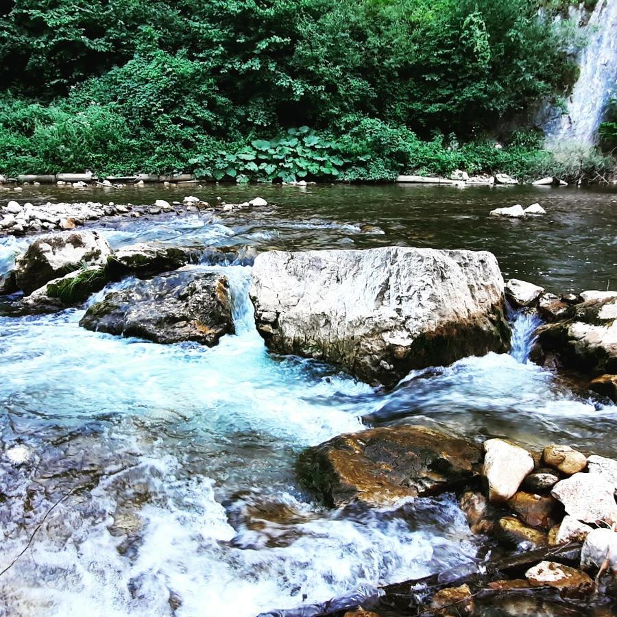 Golemi Kamik Pirot Vlasi Exterior foto