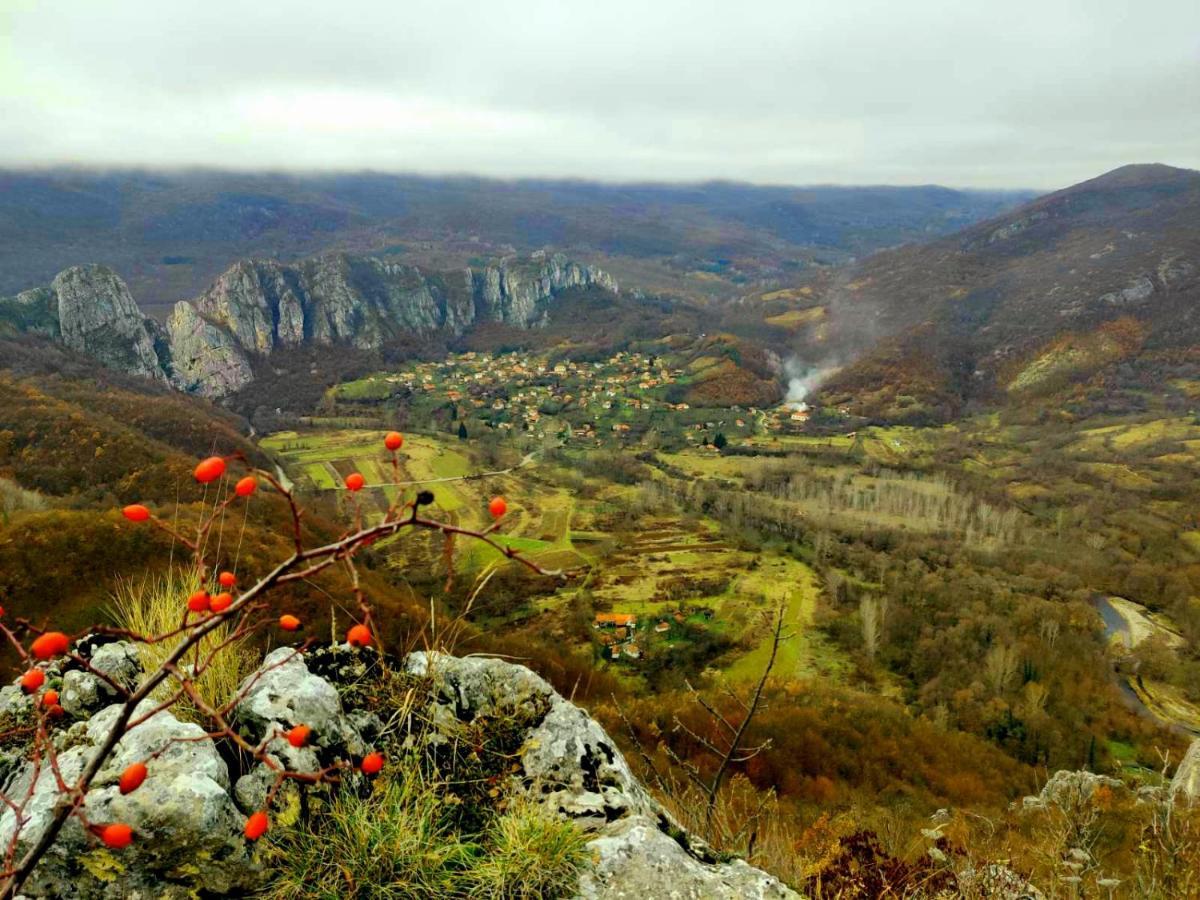 Golemi Kamik Pirot Vlasi Exterior foto