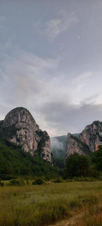 Golemi Kamik Pirot Vlasi Exterior foto