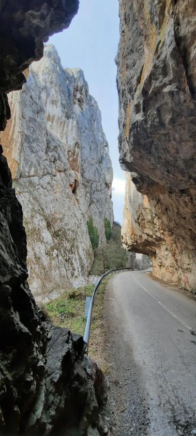 Golemi Kamik Pirot Vlasi Exterior foto