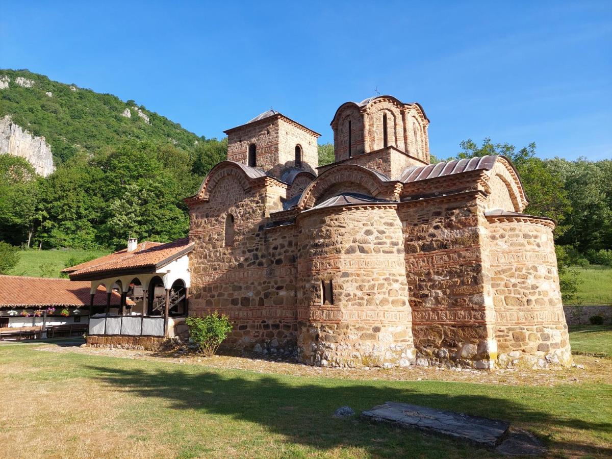 Golemi Kamik Pirot Vlasi Exterior foto